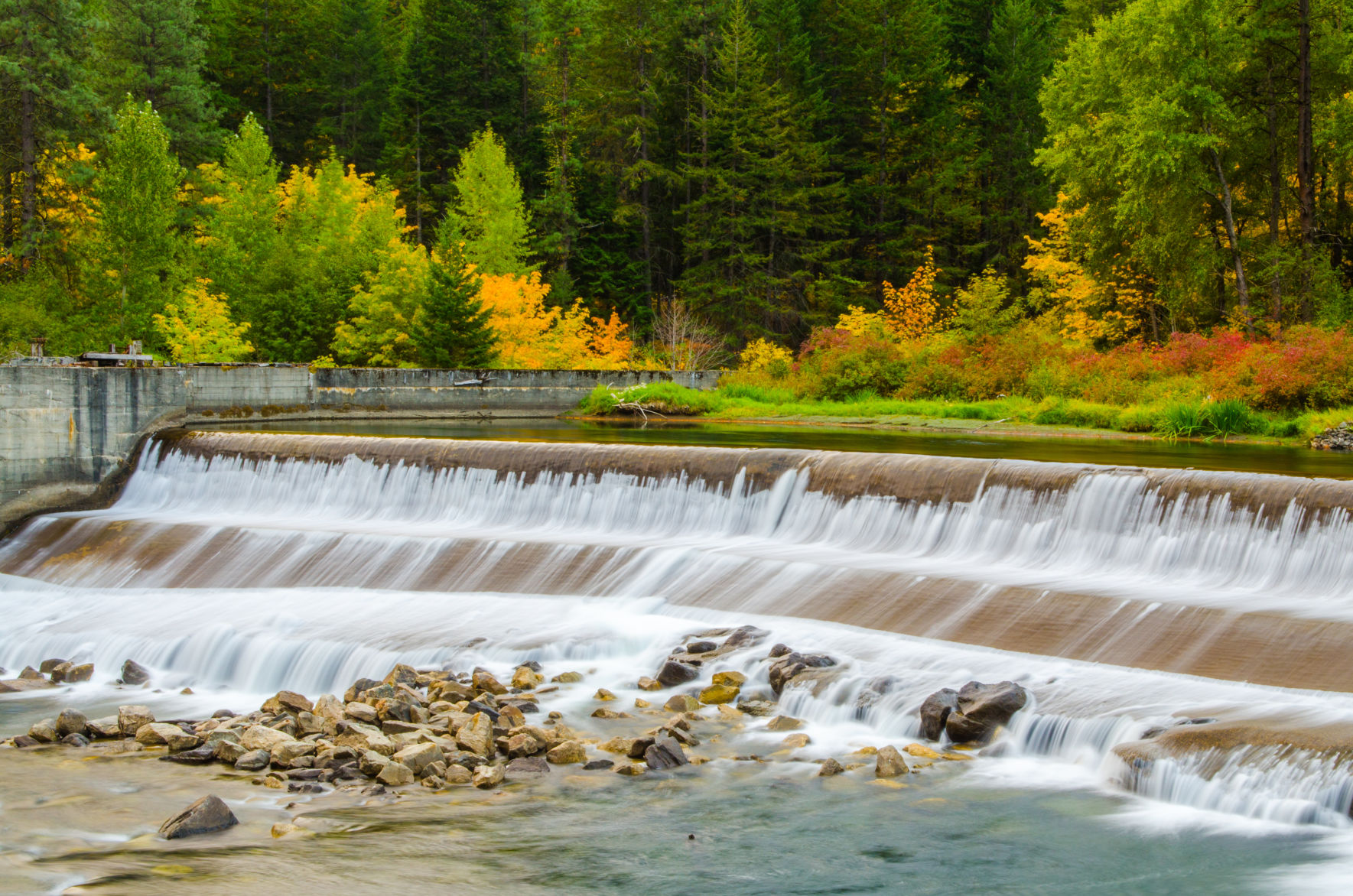 A Jaynes Photography_Oct_2019_240dpi.jpg